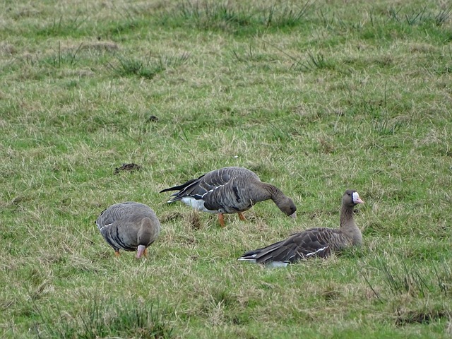 每一位球员 每一位球员
