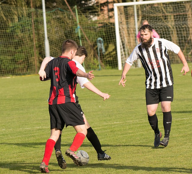 尼克斯用 尼克斯用