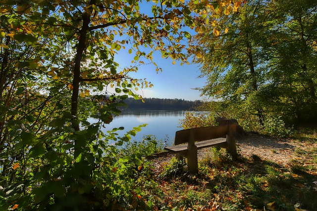 讓誤判更加 讓誤判更加