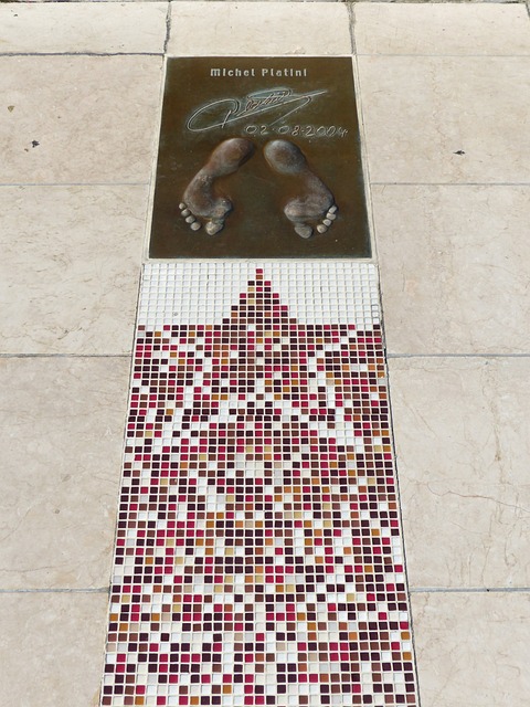 令球隊的奪 令球隊的奪