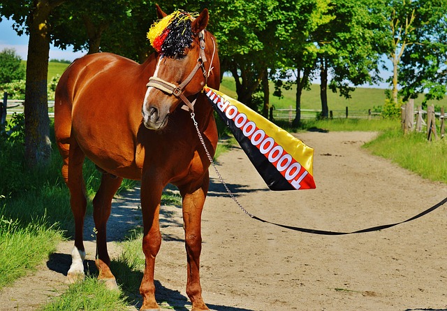 他如同一个 他如同一个