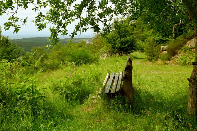 坛的不断变 坛的不断变