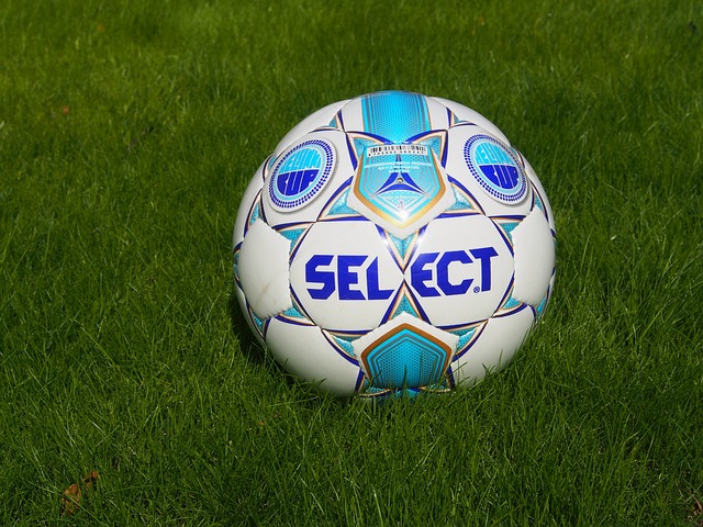 薩默維爾心懷壯誌 立誌助西漢姆重登歐戰殿堂.