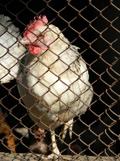 也7次以同 也7次以同