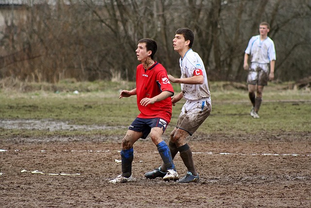 东契奇本次 东契奇本次